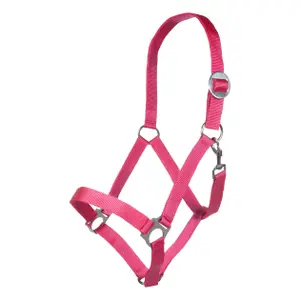 Cavezza HKM Stars Economy image-0