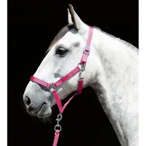 Cavezza HKM Stars Economy image-1
