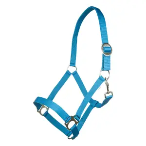 Halster voor paarden HKM Stars Economy image-0
