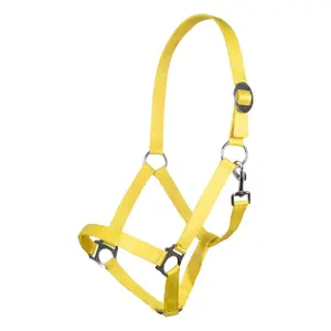 Cavezza HKM Stars Economy image-0