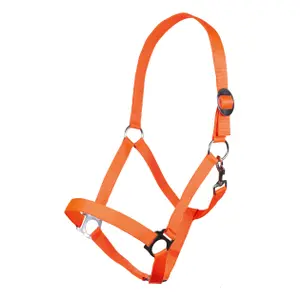 Halter for horse HKM Stars Economy image-0