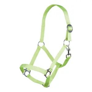 Halfter für Pferd HKM Stars Economy image-0