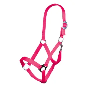 Cavezza HKM Stars Economy image-0