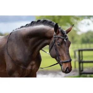 Bitless bridle for horses HKM Carolin image-2