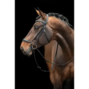 Bitless bridle for horses HKM Carolin image-3