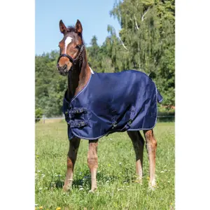 Outdoor Blanket for Foal Fleece Lined HKM Professional image-1