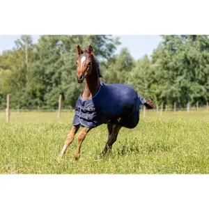 Outdoor Blanket for Foal Fleece Lined HKM Professional image-2