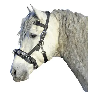 Nylon hoofdstel voor paard HKM Kate image-1