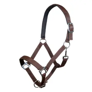Halster voor paarden HKM Stars image-0