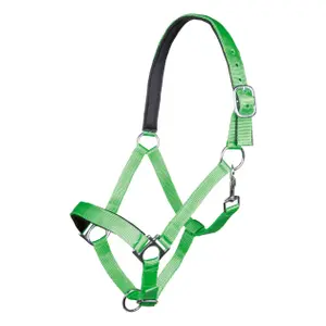Halster voor paarden HKM Stars image-0