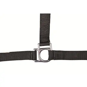 Halster voor paarden HKM Stars image-1