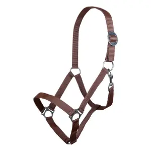 Halster voor paarden HKM Stars Economy image-0