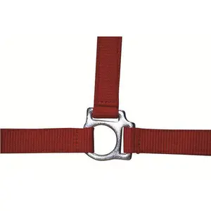 Halster voor paarden HKM Stars Economy image-0
