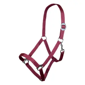 Cabresto para cavalos HKM Stars Economy image-0