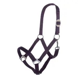 Halter for horse HKM Stars Economy image-0