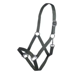 Halfter für Pferd HKM Stars Economy image-0