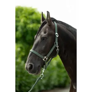 Halfter für Pferd HKM Stars Economy image-1