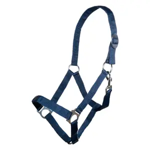 Halster voor paarden HKM Stars Economy image-0