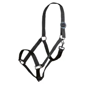 Halster voor paarden HKM Stars Economy image-0