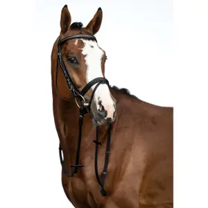 Bitless bridle for horses HKM Economic image-1