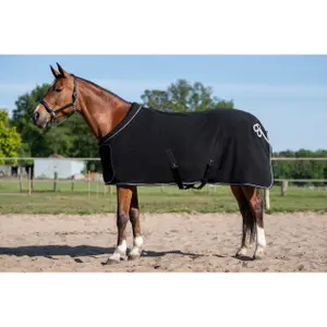 Drying Rug for Horse with Neck HKM image-1