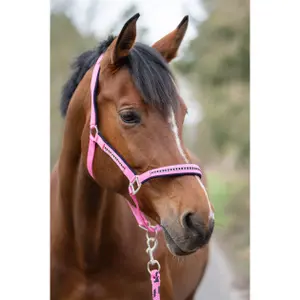 Hufgeschirr für Pferde mit Karabiner HKM image-1
