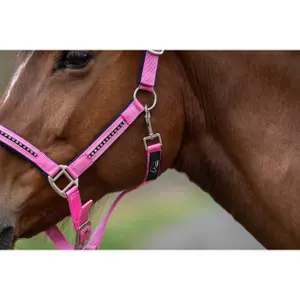 Hufgeschirr für Pferde mit Karabiner HKM image-2