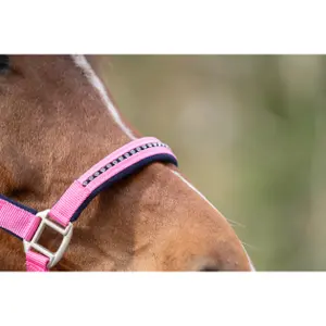 Hufgeschirr für Pferde mit Karabiner HKM image-3