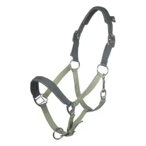 Pferd Halfter Kind HKM Kids Barnie image-0