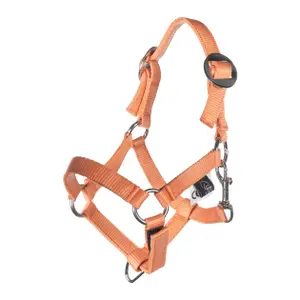 Zadel en longe voor Hobby Horse HKM Kids Basic image-1