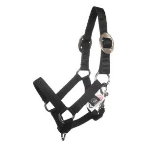 Hanf und Longe Set für Hobby Horse HKM Kids Basic image-1