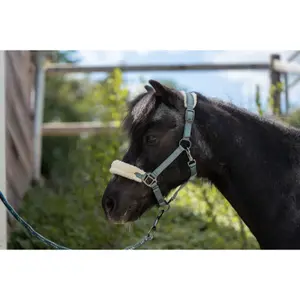 Halfter für Pferd HKM Kids Mia- für Shettys image-1