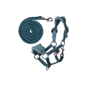Lisol voor hobby Horse HKM Kids