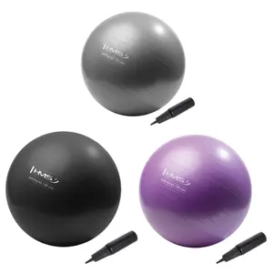 Ballon de Treinamento com Suporte STR43 HMS YB02 image-2