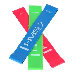 Set de bandas de resistencia HMS GU04 image-1