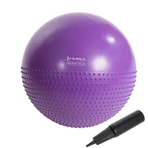 Gym ball Nouveau HMS YB03 image-0