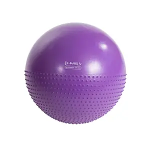 Gym ball Nouveau HMS YB03 image-1