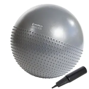 Μπάλα γυμναστικής Νέα HMS YB03 image-0