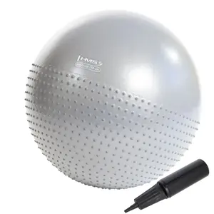 New gym ball HMS YB03 image-0