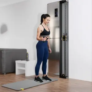 Ścienny sprzęt do ćwiczeń pneumatycznych HMS BSP301 image-2