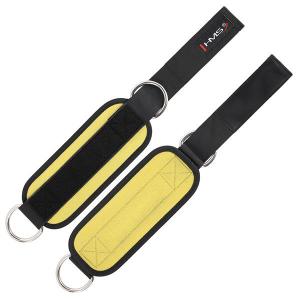 Enkel trainingsbanden HMS (x2) image-1