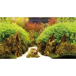 Poster 2 Seiten Hobby Canyon/Woodland