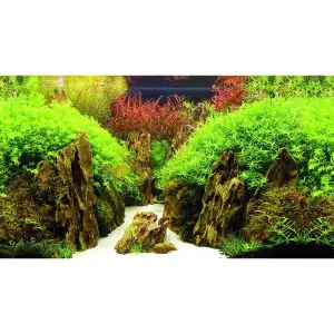 Poster 2 Seiten Hobby Canyon/Woodland image-5