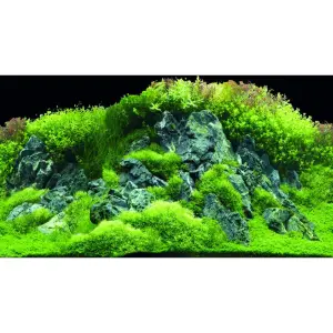 Poster 2 Seiten Hobby Planted River/Greenrocks image-1