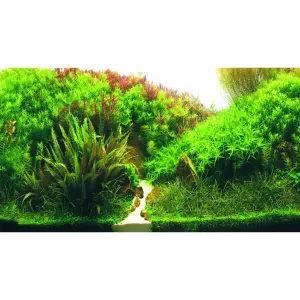Poster 2 Seiten Hobby Planted River/Greenrocks image-2