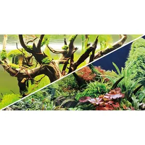 Poster 2 Seiten Hobby Green Secret/Wood Island