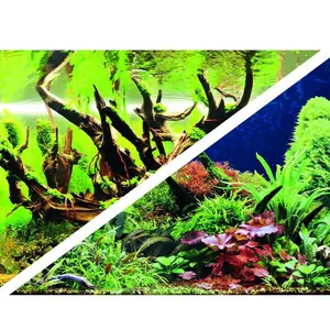 Poster 2 Seiten Hobby Green Secret/Wood Island image-1