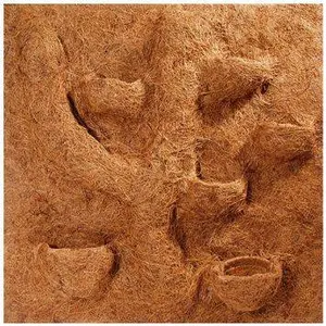 Coconut Fibre Back Wall Terrarium Accessory Hobby