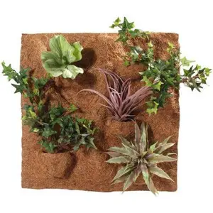 Coconut Fibre Back Wall Terrarium Accessory Hobby image-1