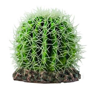 Cactus terrarium decoration Hobby Sonora